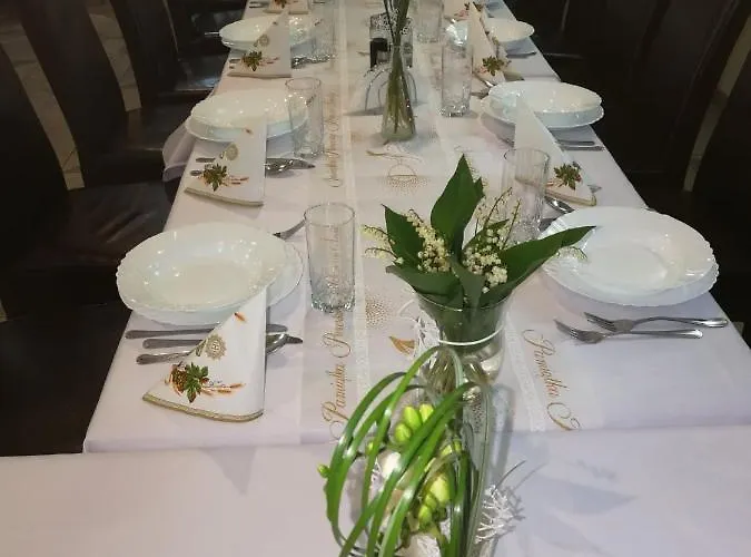 酒店 Silesia Długopole-Zdrój